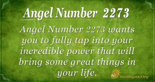 Angel number 2273