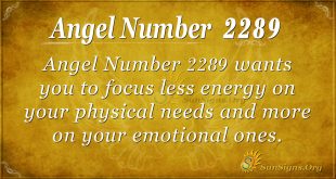 Angel Number 2289