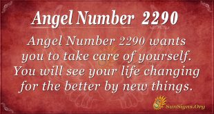 Angel Number 2290