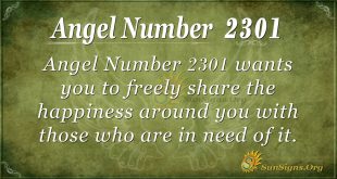 Angel number 2301