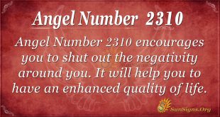 Angel number 2310
