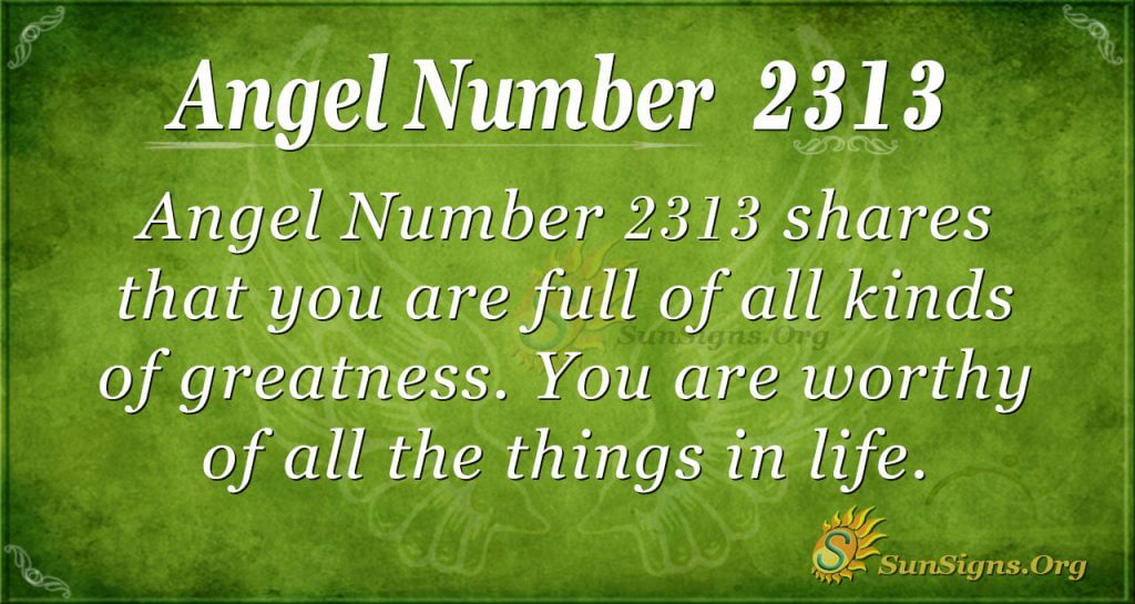 Angel number 2313