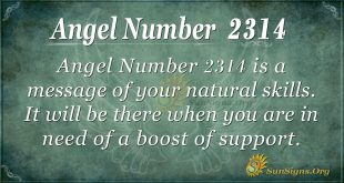 Angel Number 2314