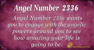 Angel number 2336