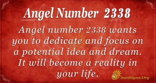 Angel number 2338