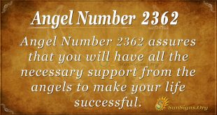 Angel number 2362