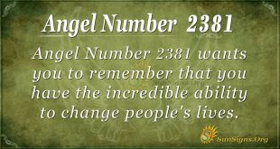 Angel number 2381