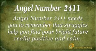 Angel number2411