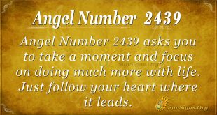 Angel Number 2439