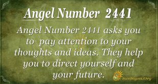 Angel Number 2441