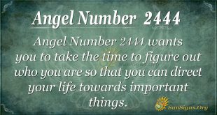 Angel number 2444