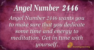 Angel Number 2446