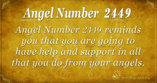Angel number 2449