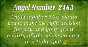 Angel Number 2463