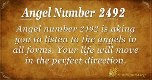 Angel Number 2492