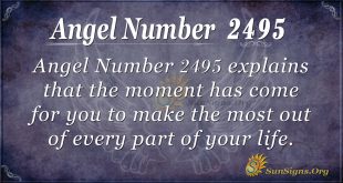 Angel Number 2495