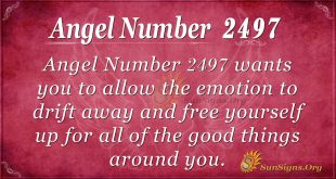 Angel number 2497