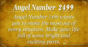 Angel Number 2499