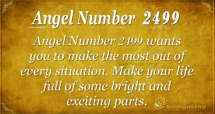Angel Number 2499