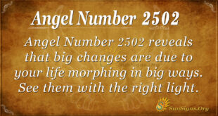 Angel Number 2502
