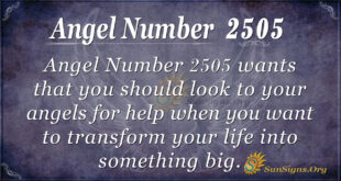 Angel Number 2505