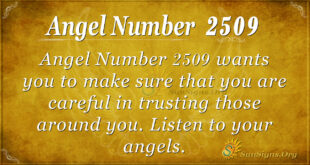 Angel Number 2509