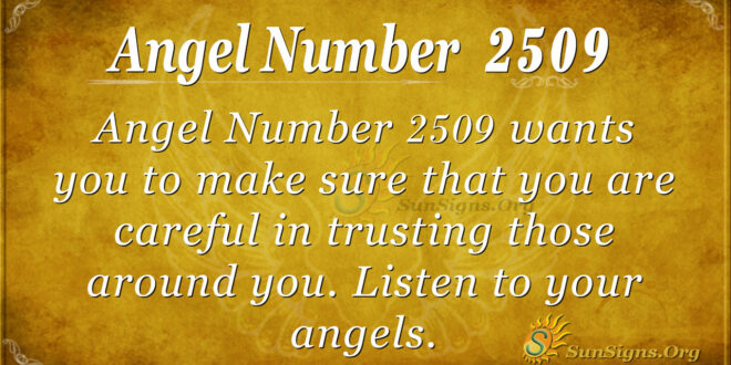 Angel Number 2509