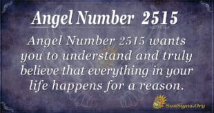 Angel number 2515