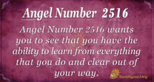 angel number 2516