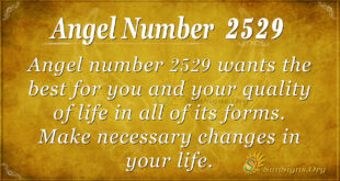 Angel number 2529