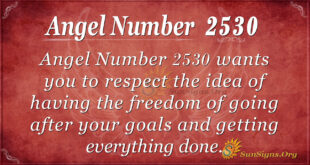 Angel Number 2530