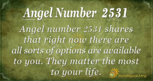 Angel Number 2531