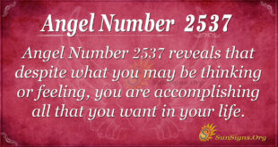 Angel Number 2537