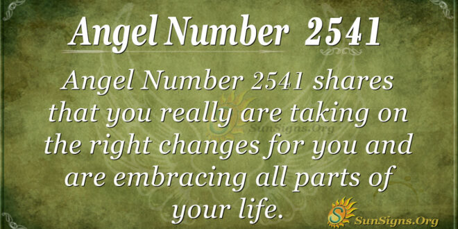 Angel Number 2541