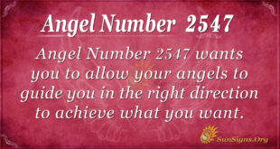 Angel number 2547