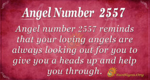 Angel number2557