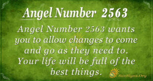 Angel Number 2563