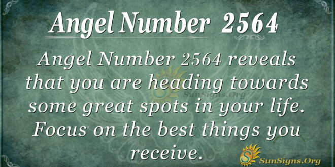 Angel Number 2564