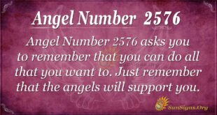 Angel Number 2576