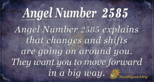 Angel Number2585