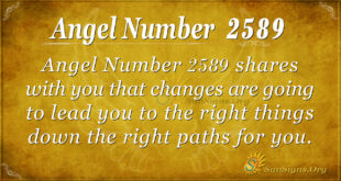 Angel Number 2589