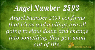 Angel Number 2593