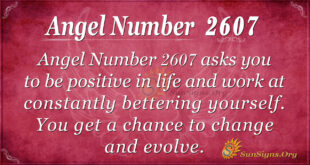 Angel number 2607