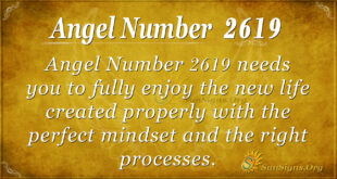 Angel Number 2619