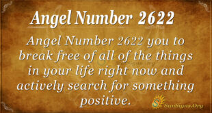 Angel Number 2622
