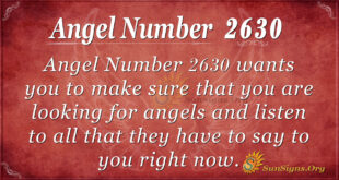 Angel number 2630