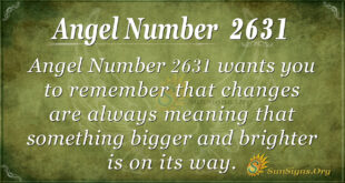 Angel Number 2631