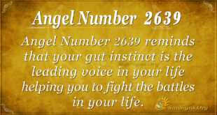 Angel number 2639