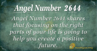 Angel Number2644