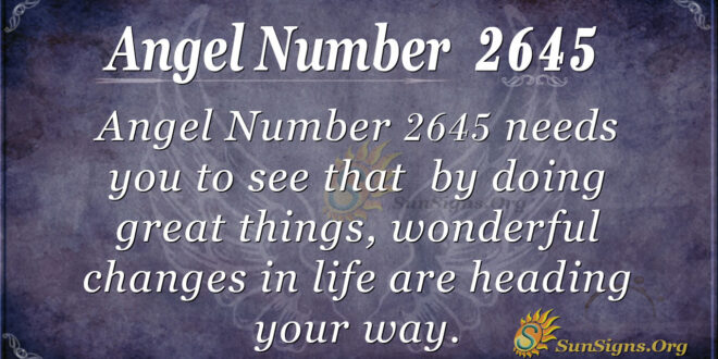 Angel Number 2645